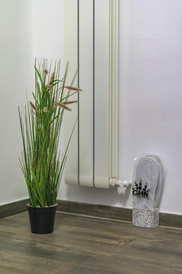 Apartment Queen Sibiu Luaran gambar
